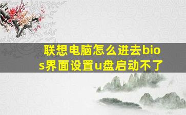 联想电脑怎么进去bios界面设置u盘启动不了