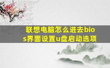 联想电脑怎么进去bios界面设置u盘启动选项