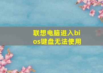 联想电脑进入bios键盘无法使用