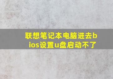 联想笔记本电脑进去bios设置u盘启动不了