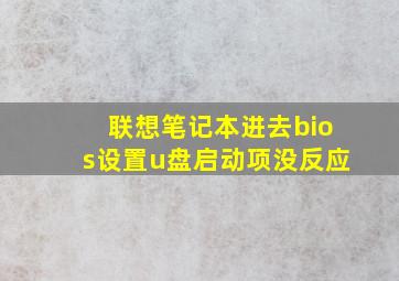 联想笔记本进去bios设置u盘启动项没反应