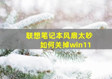 联想笔记本风扇太吵如何关掉win11