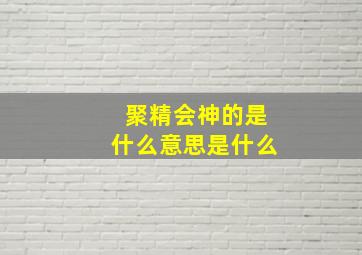 聚精会神的是什么意思是什么