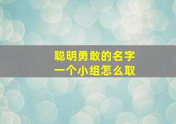 聪明勇敢的名字一个小组怎么取