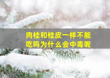 肉桂和桂皮一样不能吃吗为什么会中毒呢