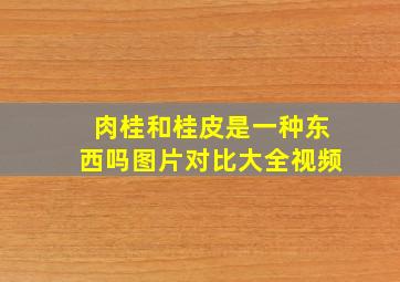 肉桂和桂皮是一种东西吗图片对比大全视频