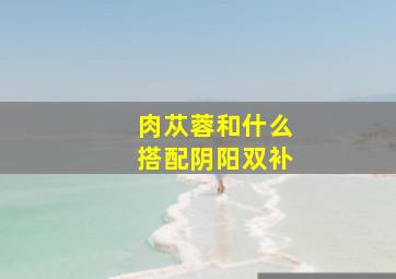 肉苁蓉和什么搭配阴阳双补