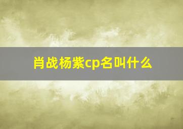 肖战杨紫cp名叫什么