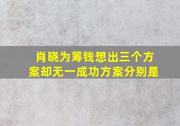 肖晓为筹钱想出三个方案却无一成功方案分别是