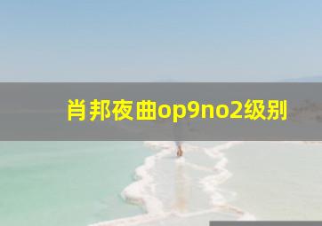 肖邦夜曲op9no2级别