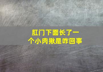 肛门下面长了一个小肉揪是咋回事