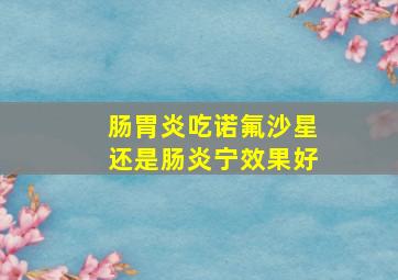 肠胃炎吃诺氟沙星还是肠炎宁效果好