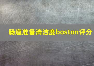 肠道准备清洁度boston评分