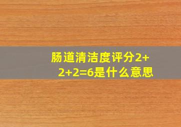 肠道清洁度评分2+2+2=6是什么意思