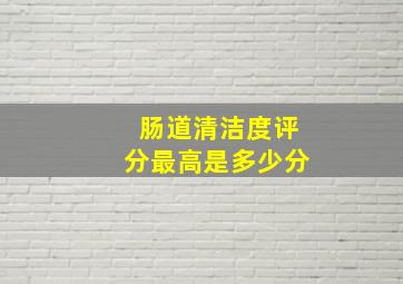 肠道清洁度评分最高是多少分