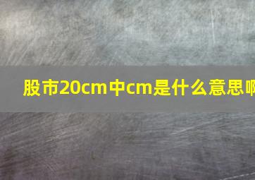 股市20cm中cm是什么意思啊