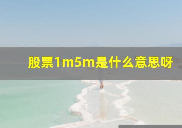 股票1m5m是什么意思呀