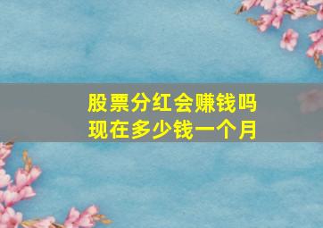 股票分红会赚钱吗现在多少钱一个月