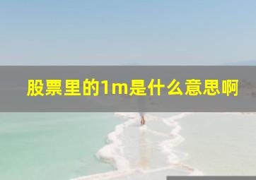 股票里的1m是什么意思啊