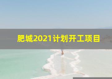 肥城2021计划开工项目