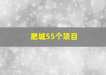 肥城55个项目