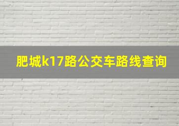 肥城k17路公交车路线查询