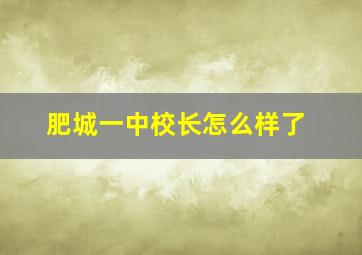 肥城一中校长怎么样了