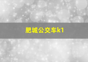 肥城公交车k1