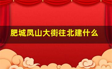 肥城凤山大街往北建什么