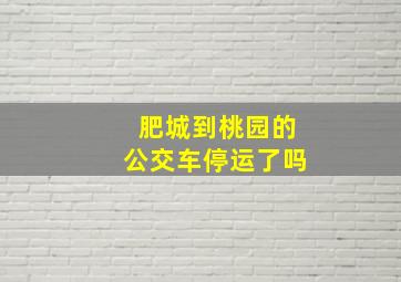 肥城到桃园的公交车停运了吗