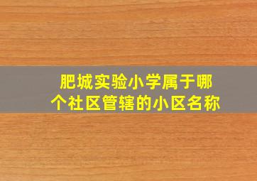 肥城实验小学属于哪个社区管辖的小区名称