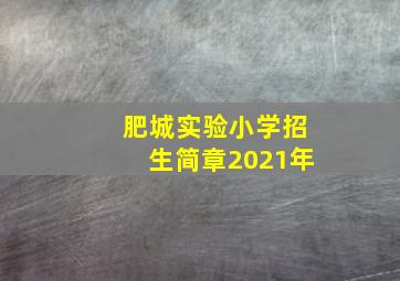 肥城实验小学招生简章2021年