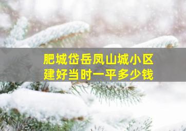 肥城岱岳凤山城小区建好当时一平多少钱