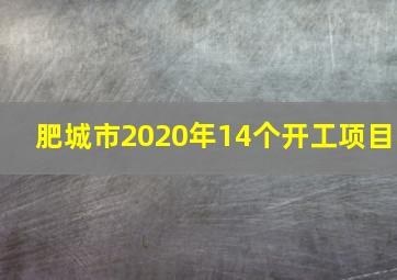 肥城市2020年14个开工项目