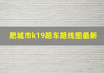 肥城市k19路车路线图最新