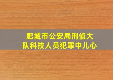 肥城市公安局刑侦大队科技人员犯罪中儿心