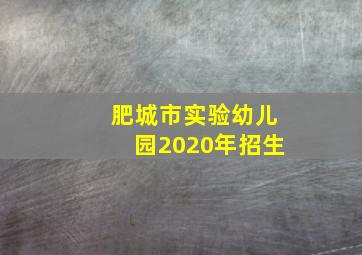 肥城市实验幼儿园2020年招生