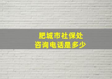 肥城市社保处咨询电话是多少