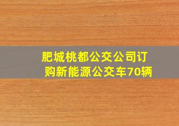 肥城桃都公交公司订购新能源公交车70辆