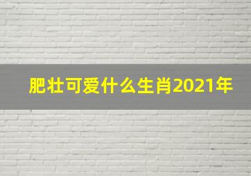 肥壮可爱什么生肖2021年