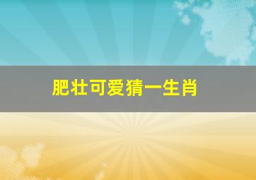 肥壮可爱猜一生肖