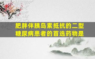 肥胖伴胰岛素抵抗的二型糖尿病患者的首选药物是