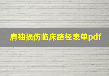 肩袖损伤临床路径表单pdf