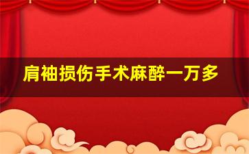 肩袖损伤手术麻醉一万多