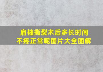 肩袖撕裂术后多长时间不疼正常呢图片大全图解