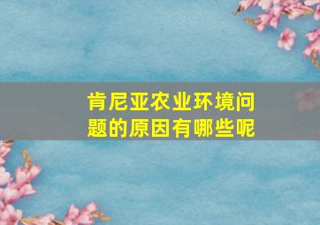 肯尼亚农业环境问题的原因有哪些呢