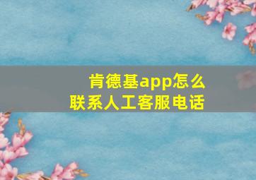 肯德基app怎么联系人工客服电话