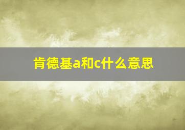 肯德基a和c什么意思