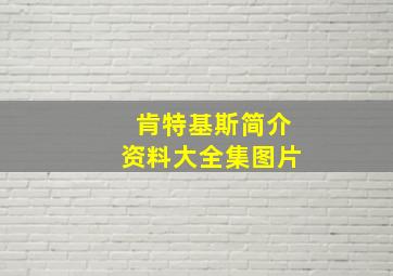 肯特基斯简介资料大全集图片