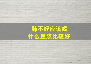 肺不好应该喝什么豆浆比较好